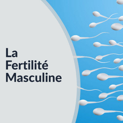 fertilité masculine : wicbirmingham2018.com